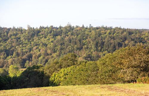 Chalet 4 pers Landeleau 2kms canal - Foto 12