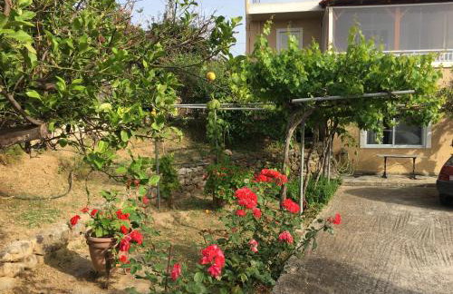 Physis Rental Estate - Foto 13