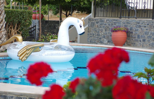 Kamelia Apartments - Foto 9