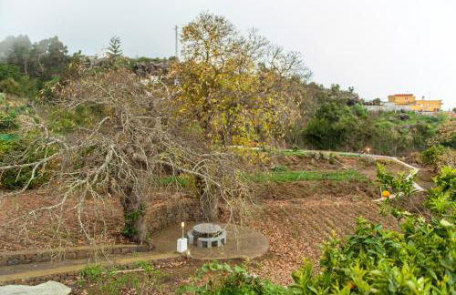 Villa Finca Los Castanos - Panoramic View - Foto 68