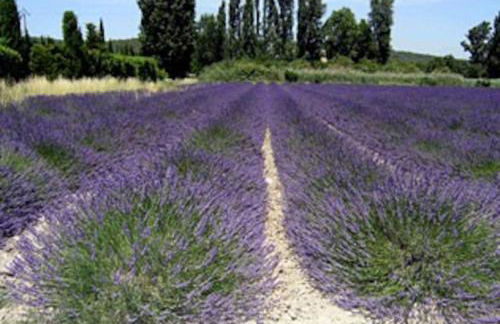 Le Patio 4*. SPA, jardin, piscine en provence, proche Grignan - Foto 73