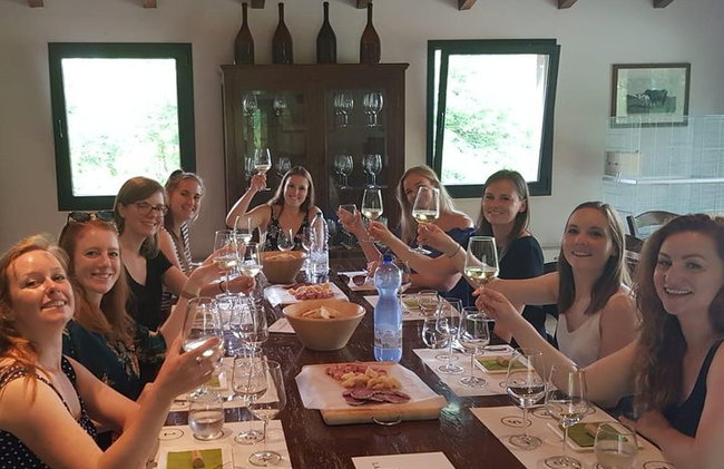 Experiencia del vino en las colinas de Bolonia - Foto 16