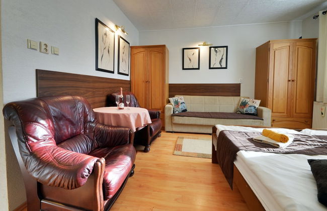 Apart & Wellness Hotel VILLA IVICA - Foto 9