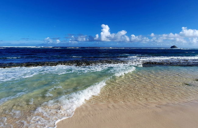 Gîte Cannelle - Foto 38