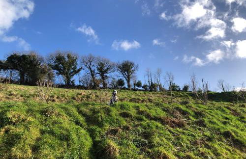 Stables, 1 or 2 bedroom Eco earth house, edge of Dartmoor - Foto 14