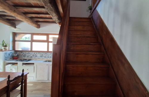 Fattoria Antognoni - Foto 61