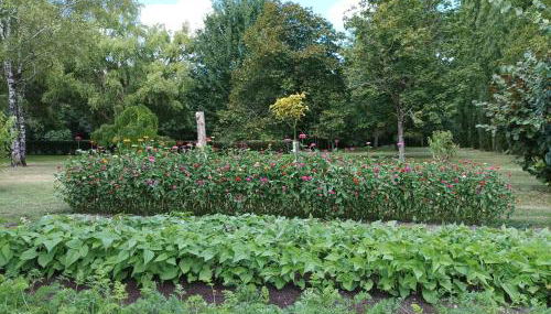 Logis de LANGE studio 2 p - Foto 2, Garden