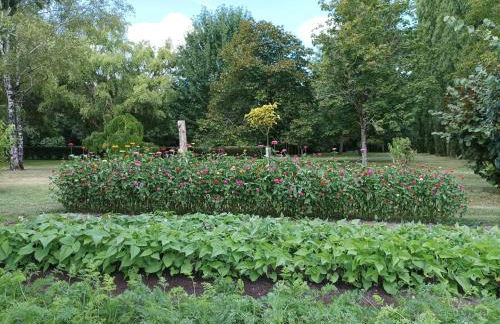 Logis de LANGE studio 2 p - Foto 2