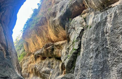 B&B Masia Katmandú - Foto 65