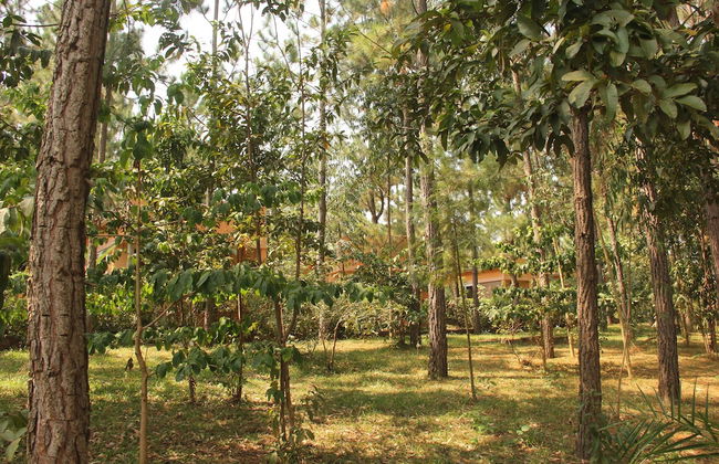 Saltek Forest cottages - Photo 19