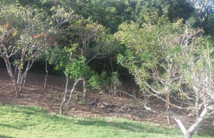 Refúgio na Serra - Photo 38