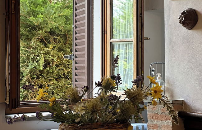 Fattoria Sant'Appiano - Foto 78