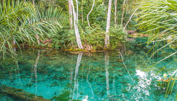 Acque cristalline del fiume Sucuri