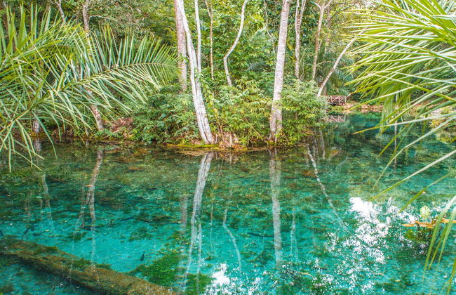 Giro in barca sul fiume Sucuri - Foto 4