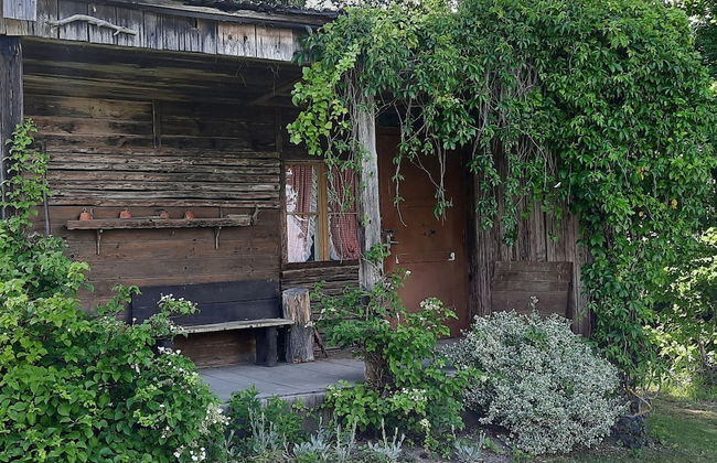 Garden Escape, Kleinwinklarn - Foto 22