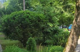 Apartament Przy Parku - Foto 10