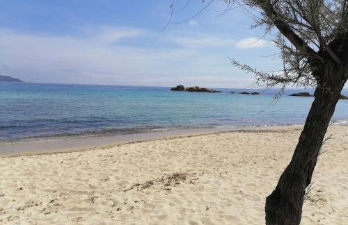 Les Iles d' Or Appartement - Foto 32