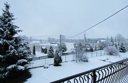 Gospodarstwo Agroturystyczne Zasadkowe Bory - Foto 16