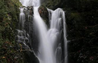 Casa Catraia Gondramaz no Pulmão da Serra da Lousã - Foto 12