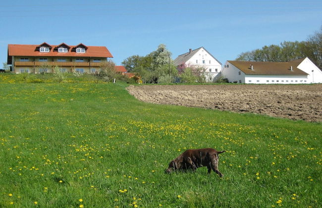 Comfortable Apartments in Rotthalmunster - Photo 73