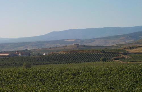 El Lagar De ElCiego - Foto 55