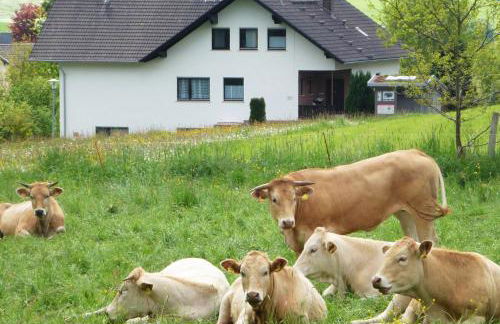 Ferienwohnungen Finke - Foto 23