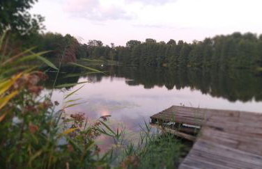 Agroturystyka Zaborski Sad - Foto 16