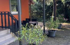 Pension Lausa - Foto 4