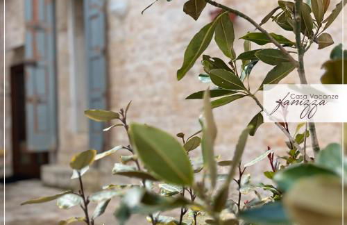 Domus Garden Fanizza - Foto 8