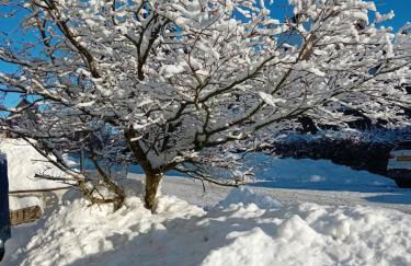 Fewo NATURgeTREU - Foto 5