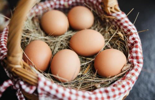 Garni Ciasa Urban - Foto 30