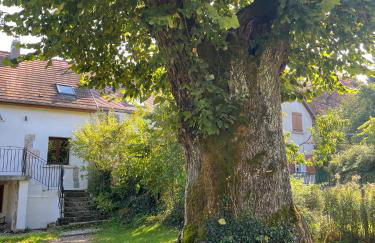 La maison de Maxou - Photo 5