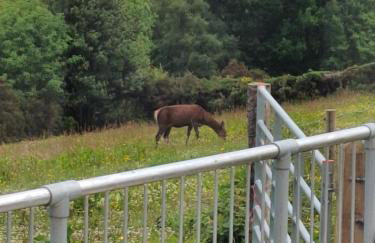 Stapehead Farm - Foto 17