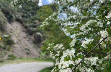 El Hoyaco - Photo 31