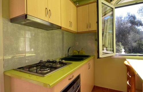 Blue apartment Mistegna - Foto 21