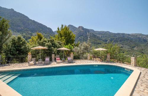 S Olivar Major - Foto 2