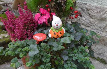 Ferienwohnung an der Therme - Foto 1