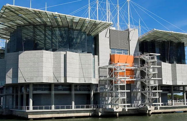 ORIENTE DNA STUDIOS VI - Foto 27