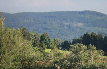 FERIENWOHNUNG FORSTPANORAMA - Foto 22