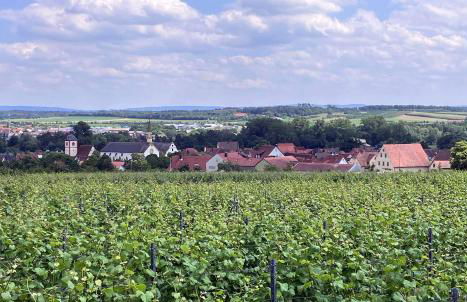 Main-Auszeit - Foto 14