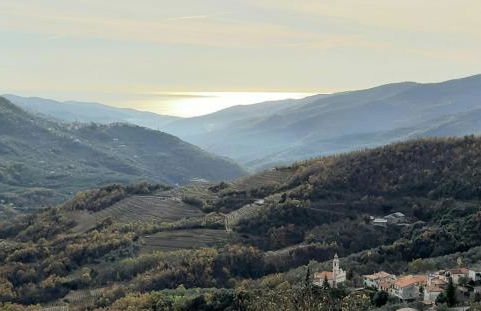 Casa Mariella citra 08012-lt-0004 - Photo 10