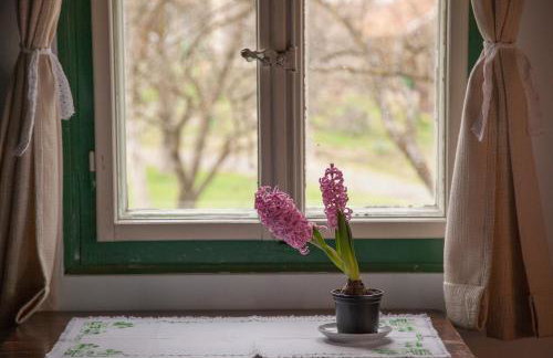 Pension Kezele - Foto 47