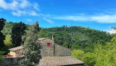 Casa nel bosco il Grottone - Foto 5