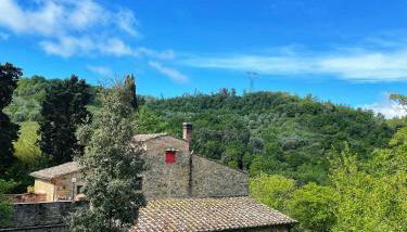 Casa nel bosco il Grottone - Foto 1