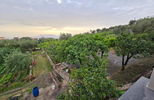 N'haidea - AgriFarm e B&B - Foto 74