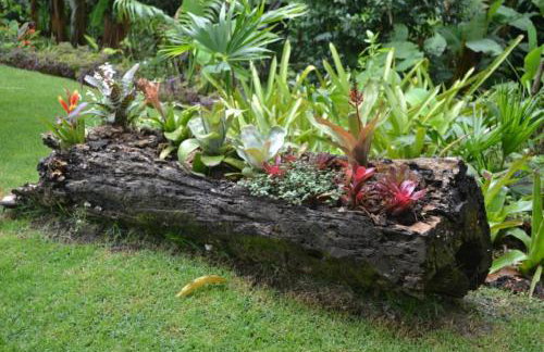 Sitio Alto da Montanha - você em paz com a natureza - Foto 37