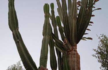 Pontinos Villa - Photo 51