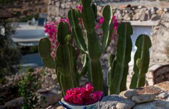 Demati house - Photo 32