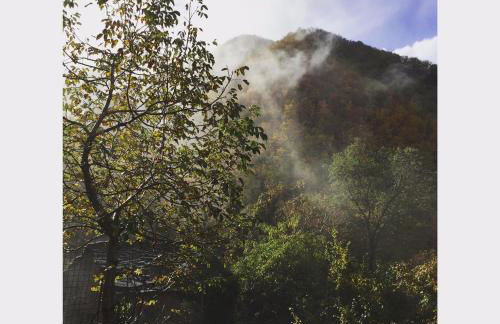 La casa nel bosco-senza auto - Foto 30