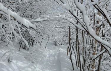 Ski Condo with Garage Parking and Pool - Foto 29